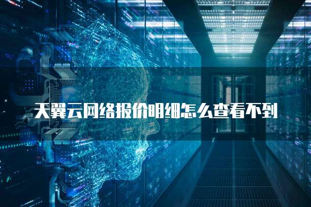 天翼云网络报价明细怎么查看不到