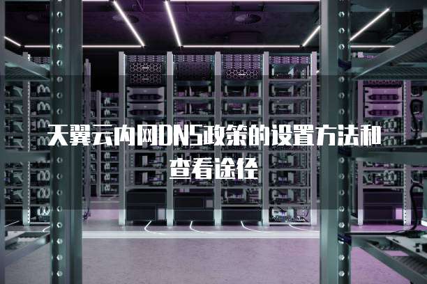 天翼云内网DNS政策的设置方法和查看途径