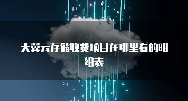 天翼云存储收费项目在哪里看的明细表