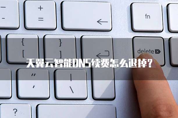 天翼云智能DNS续费怎么退掉?