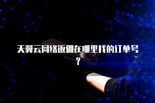 天翼云网络返佣在哪里找的订单号?
