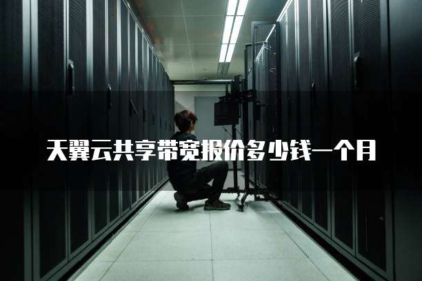 天翼云共享带宽报价多少钱一个月