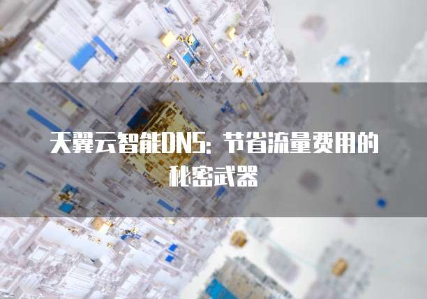 天翼云智能DNS: 节省流量费用的秘密武器