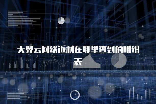 天翼云网络返利在哪里查到的明细表