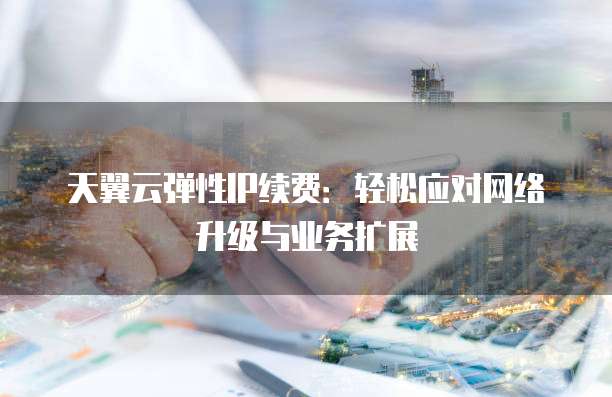 天翼云弹性IP续费:轻松应对网络升级与业务扩展