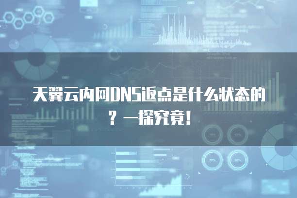 天翼云内网DNS返点是什么状态的?一探究竟!