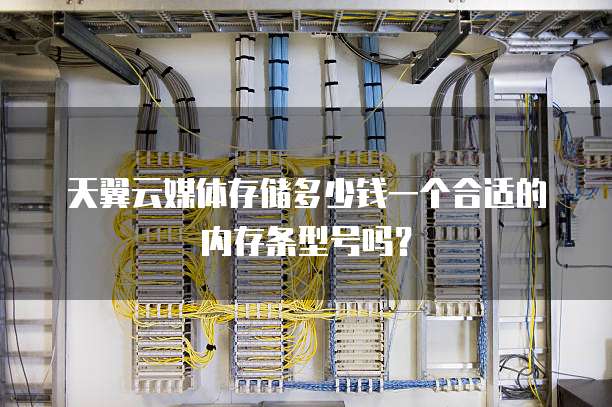 天翼云媒体存储多少钱一个合适的内存条型号吗？