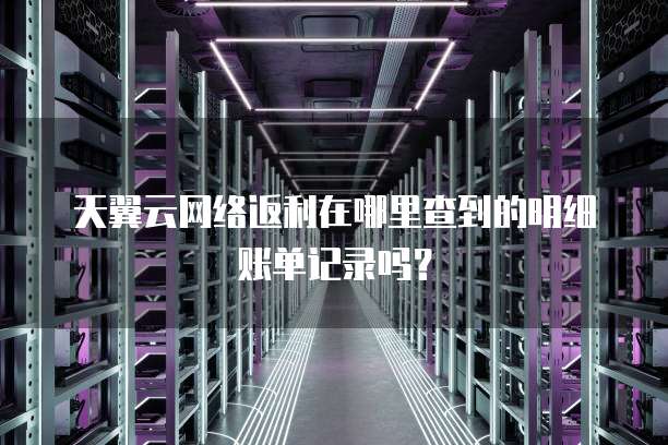 天翼云网络返利在哪里查到的明细账单记录吗?