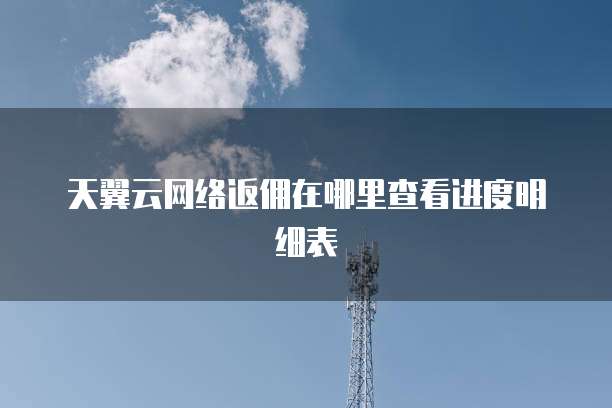 天翼云网络返佣在哪里查看进度明细表
