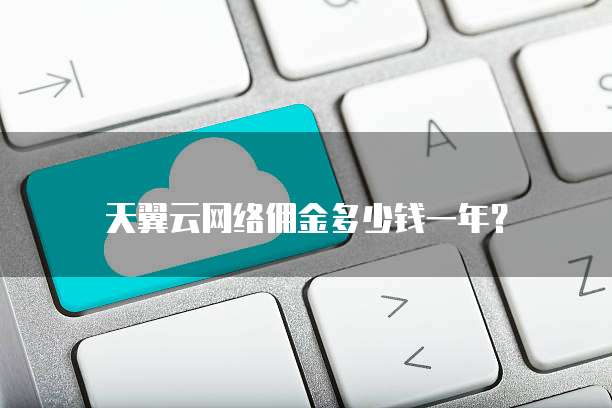 天翼云网络佣金多少钱一年?