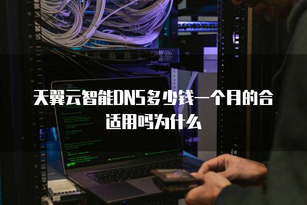 天翼云智能DNS多少钱一个月的合适用吗为什么