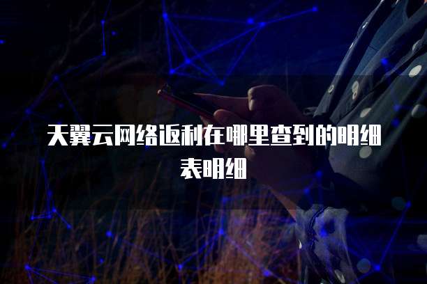 天翼云网络返利在哪里查到的明细表明细