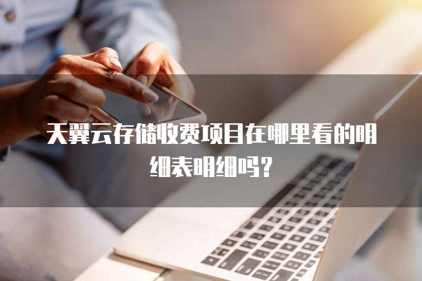 天翼云存储收费项目在哪里看的明细表明细吗?