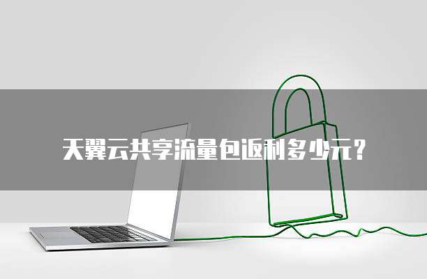 天翼云共享流量包返利多少元?