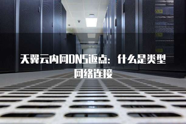 天翼云内网DNS返点:什么是类型网络连接
