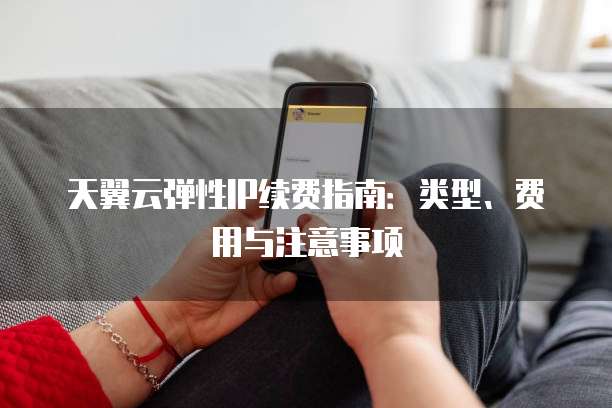天翼云弹性IP续费指南:类型、费用与注意事项