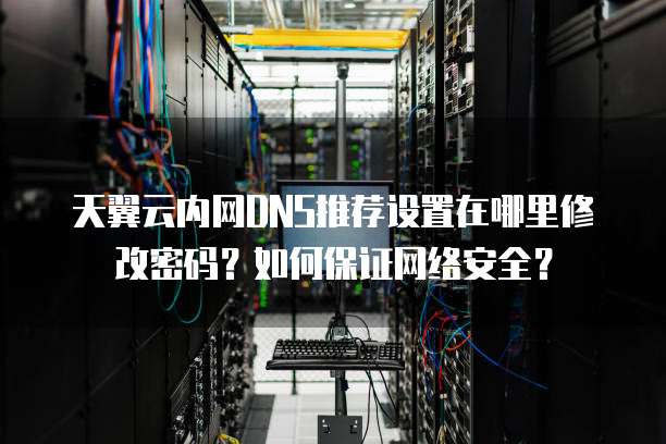 天翼云内网DNS推荐设置在哪里修改密码?如何保证网络安全?