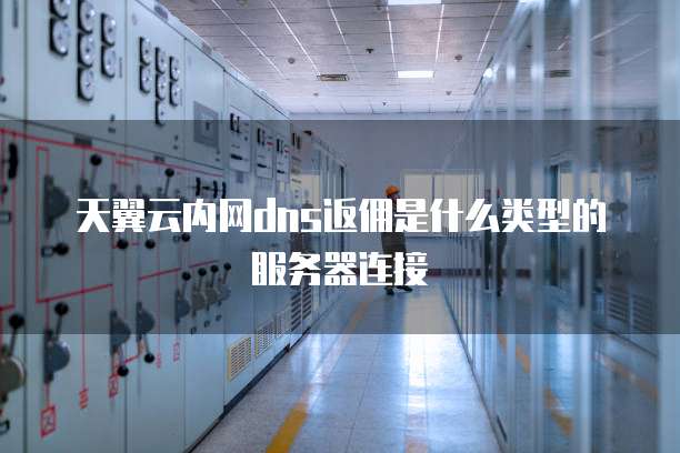天翼云内网dns返佣是什么类型的服务器连接