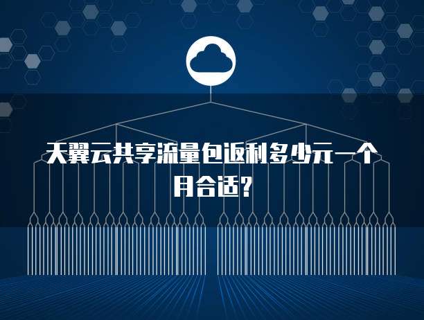 天翼云共享流量包返利多少元一个月合适?