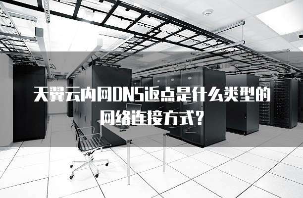 天翼云内网DNS返点是什么类型的网络连接方式?