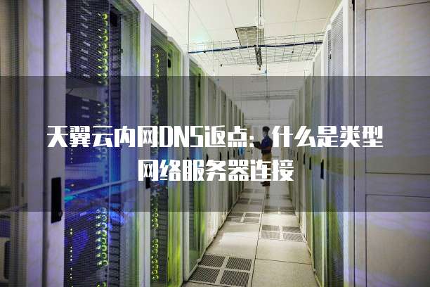 天翼云内网DNS返点:什么是类型网络服务器连接