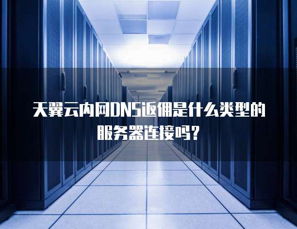 天翼云内网DNS返佣是什么类型的服务器连接吗?
