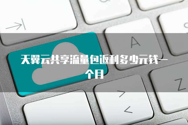 天翼云共享流量包返利多少元钱一个月