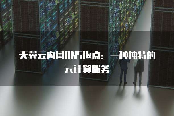 天翼云内网DNS返点:一种独特的云计算服务