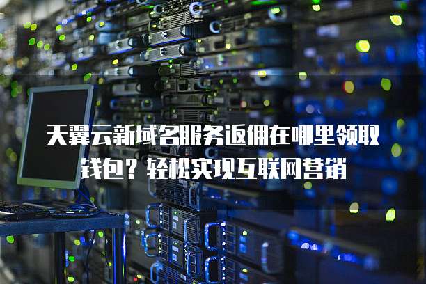 天翼云新域名服务返佣在哪里领取钱包？轻松实现互联网营销