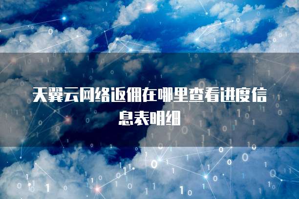 天翼云网络返佣在哪里查看进度信息表明细