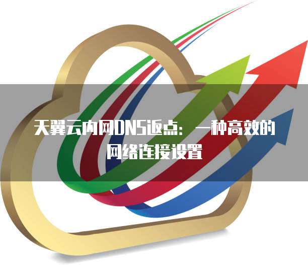 天翼云内网DNS返点:一种高效的网络连接设置