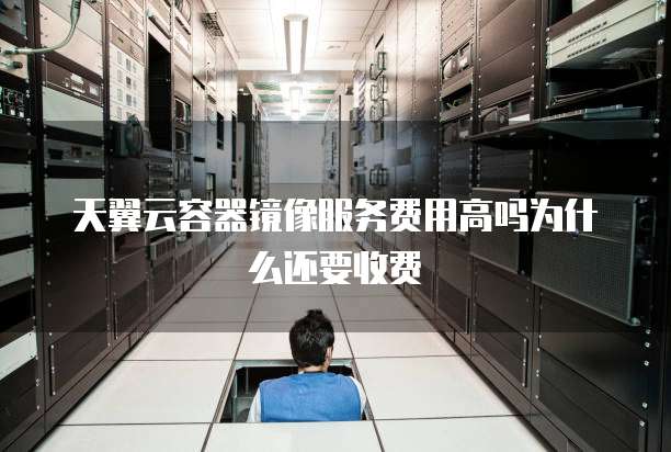 天翼云容器镜像服务费用高吗为什么还要收费