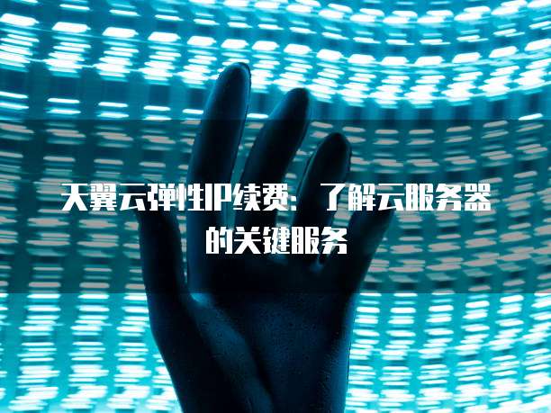 天翼云弹性IP续费:了解云服务器的关键服务