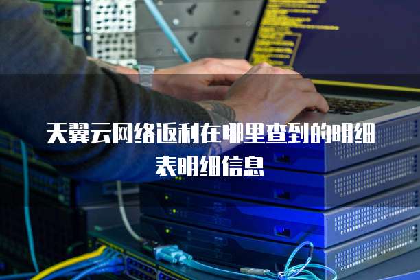 天翼云网络返利在哪里查到的明细表明细信息