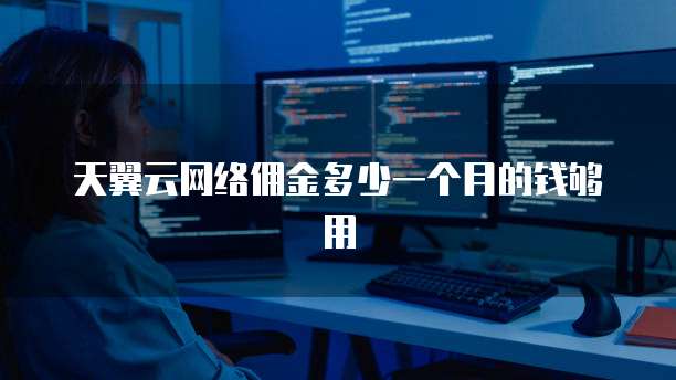 天翼云网络佣金多少一个月的钱够用