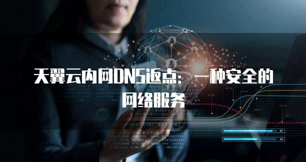 天翼云内网DNS返点:一种安全的网络服务