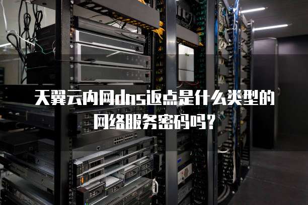 天翼云内网dns返点是什么类型的网络服务密码吗？