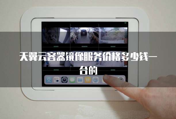 天翼云容器镜像服务价格多少钱一台的