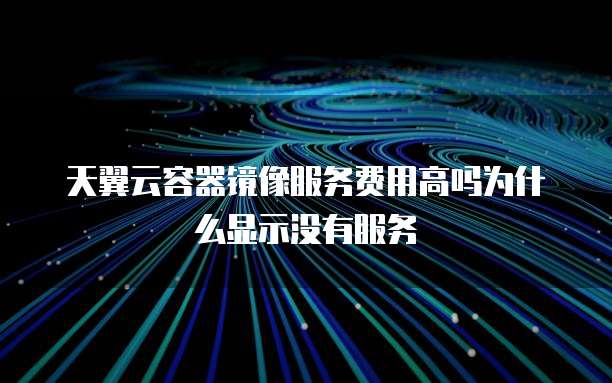 天翼云容器镜像服务费用高吗为什么显示没有服务