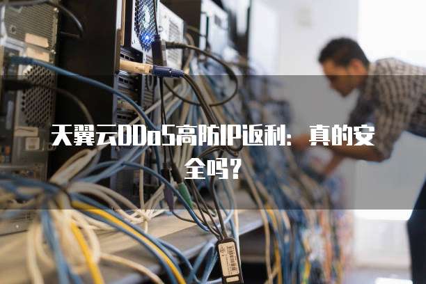 天翼云DDoS高防IP返利:真的安全吗?