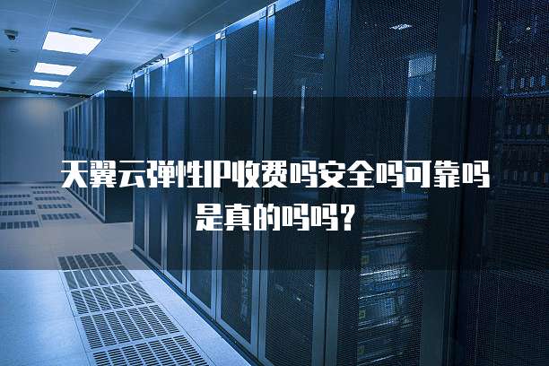 天翼云弹性IP收费吗安全吗可靠吗是真的吗吗?
