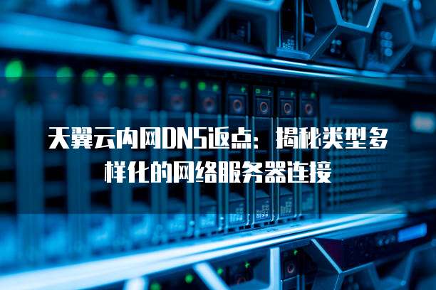 天翼云内网DNS返点：揭秘类型多样化的网络服务器连接