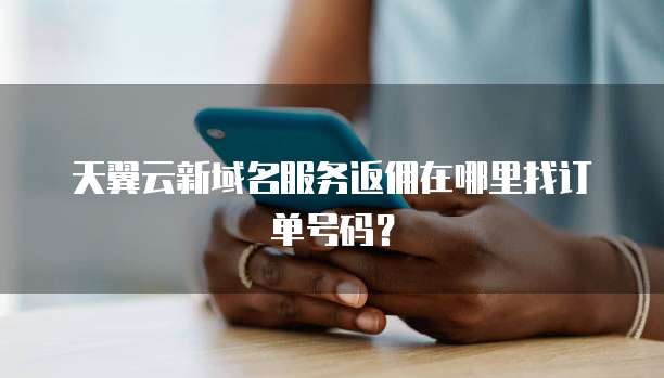 天翼云新域名服务返佣在哪里找订单号码？