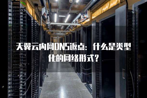 天翼云内网DNS返点:什么是类型化的网络形式?