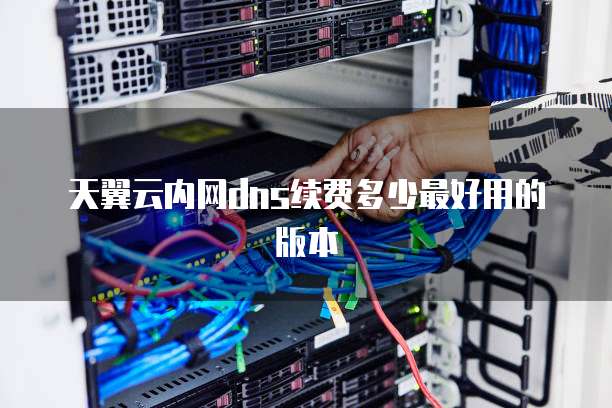 天翼云内网dns续费多少最好用的版本