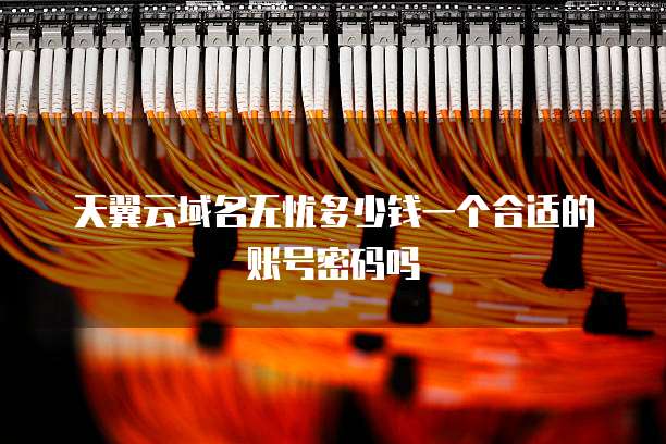 天翼云域名无忧多少钱一个合适的账号密码吗