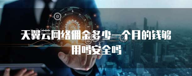天翼云网络佣金多少一个月的钱够用吗安全吗