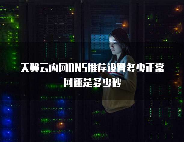 天翼云内网DNS推荐设置多少正常网速是多少秒
