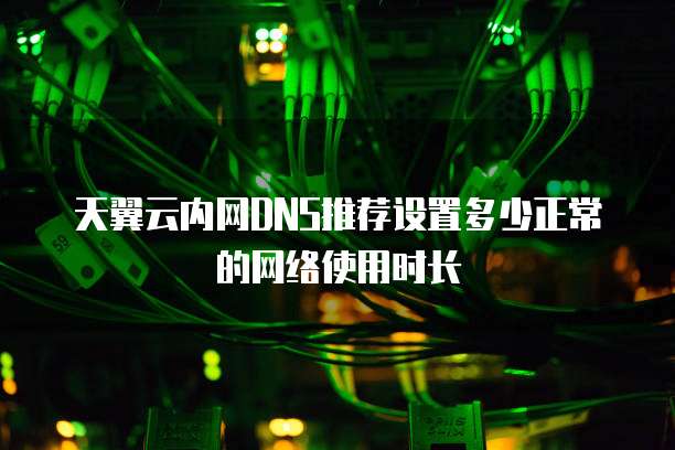 天翼云内网DNS推荐设置多少正常的网络使用时长