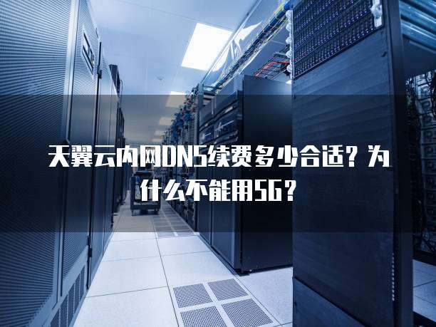 天翼云内网DNS续费多少合适?为什么不能用5G?